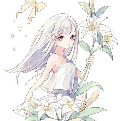 四川瀑布秋千事故1死